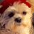 Tracy Mickle McNabb's profile image