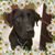 Colleen Aldridge's profile image