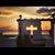 Jerri Lynn Bussell's profile image