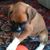 Mark D. Davis's profile image