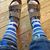 Terri Franchi's profile image