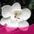Gwen Rogers's profile image