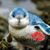 Kellie Colley's profile image