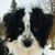Kimberly Elmer's profile image