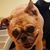 Imelda Robertson's profile image
