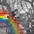 Cindy Littlejohn's profile image