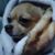 Noppadol Sp's profile image