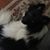 Roxi Waechter's profile image