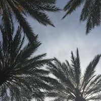 Jamie Whipp's profile image