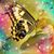 Barbara Burns's profile image