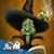 Deborah Smith Powers's profile image