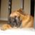 Julie Willoughby's profile image