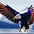 Tom Huffines's profile image