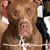 Connie Taylor's profile image