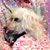 Helen Butterfield's profile image