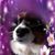 Pamela Giroux's profile image