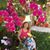 María Emma Macías's profile image