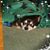Todd N Rhonda Wyatt's profile image