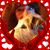 Barb Hickl's profile image