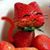 Linelle Hibbard's profile image
