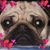 Joyce Emerick's profile image