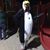 Derek Fuchs's profile image