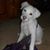 Amy Seals's profile image