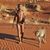 Roberto Brigham Sanchez's profile image
