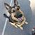 Wendy Sylvia Porter's profile image