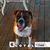 Scott Chandler's profile image