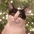 Susan Sotzing's profile image