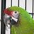 Pawla Smith's profile image