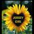 Nancy Del Prete Shokoff's profile image
