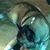 Kelly Stine's profile image