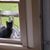 Karen Elsby's profile image