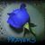 Cindy Gothia-Vallet's profile image
