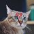 Mesuk Suksuk's profile image