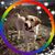 Deborah Fish's profile image