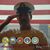 Ed Carr's profile image
