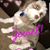 Marilou Tomski Zaverl's profile image