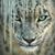 Renee Roper's profile image