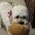 Carol Foster's profile image
