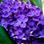 Dellia Hartman Cooper's profile image