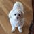 Jim N Michelle Ayers's profile image