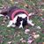 Kitty Canale Corcoran's profile image