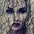 Barb Berds Barry's profile image