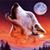 Jason Stokes's profile image
