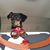Debbie Tharp's profile image