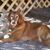 Pat Hilliker's profile image