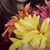Kim Walker Kaczor's profile image